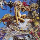 Fungus Fantasia - CD Audio di Hogwash