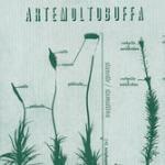 Stanotte/stamattina - CD Audio di Artemoltobuffa