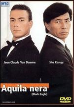 Aquila nera (DVD)