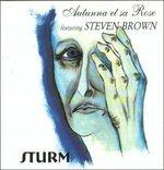 Sturm - CD Audio di Steven Brown