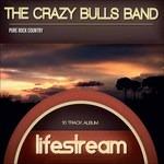 Lifestream - CD Audio di Crazy Bulls Band