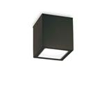 Ideal Lux Techo PL1 Big Lampada Cubo da Soffitto Plafoniera per Esterno - Nero