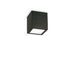 Ideal Lux Techo PL1 Small Lampada Cubo da Soffitto Plafoniera per Esterno - Nero