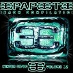 Papeete Beach Compilation. Winter 2009-2010 vol.12