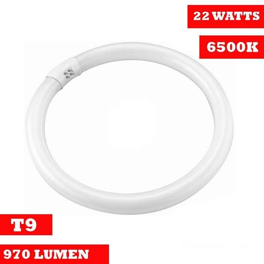 Lampada Luce Neon Circolare Fredda T9 Risparmio Energetico Fluorescente 22  Watt - ND - Casa e Cucina | IBS