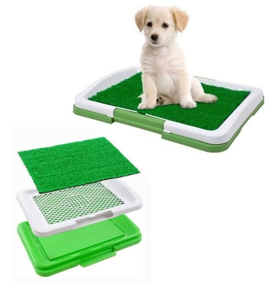 Lettiera Maxi Per Cucciolo Cane Erba Wc Panno Assorbente Potty Cuccioli  Casa - ND - Idee regalo | IBS