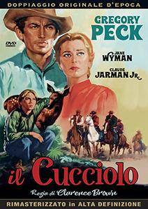 Il cucciolo (DVD) di Clarence Brown - DVD