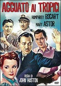 Agguato ai tropici di John Huston - DVD