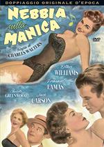 Nebbia sulla Manica (DVD)