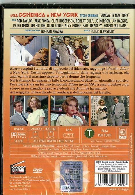 Una domenica a New York (DVD) di Peter Tewksbur - DVD - 2