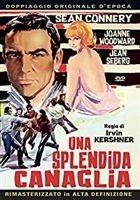 Una splendida canaglia (DVD) di Irvin Kershner - DVD