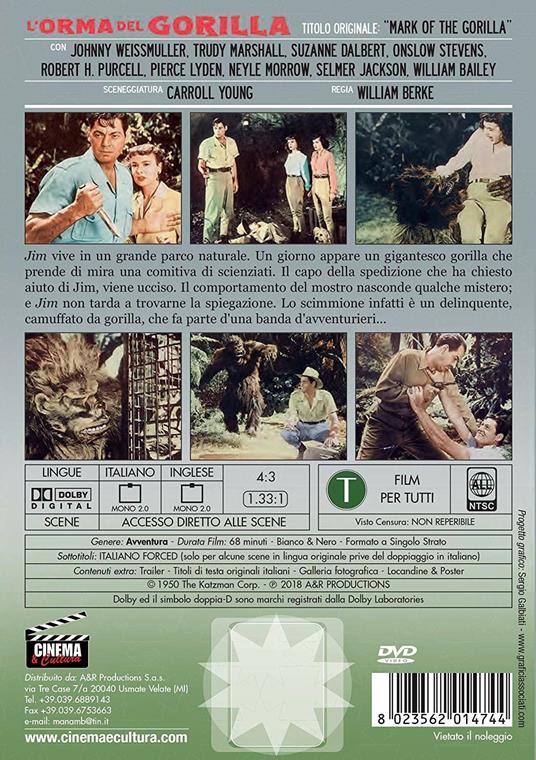 L' orma del gorilla (DVD) - DVD - Film di William Berke Avventura | IBS