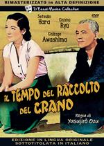 Il tempo del raccolto del grano (DVD)