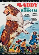 Laddy alla riscossa (DVD)