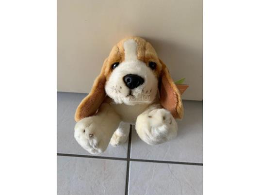 PlayTime 452437 - Peluche Cane Beige e Bianco 26 cm