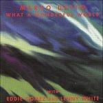 What a Wonderful World - CD Audio di Eddie Gomez,Lenny White,Marco Detto