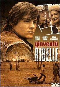 Gioventù ribelle di Paul Johansson - DVD