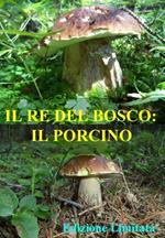 Il re del bosco: il Porcino (DVD)