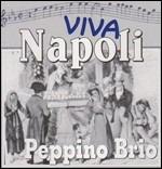 Viva Napoli - CD Audio di Peppino Brio