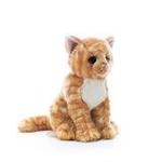 Gattino Soriano Tabby Cm 25 15863