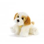 Peluche Cane Cavachon 30 cm