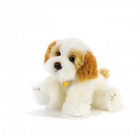 Peluche Cane Cavachon 30 cm - 2