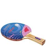 Racchetta da ping pong Arrow 2 stelle