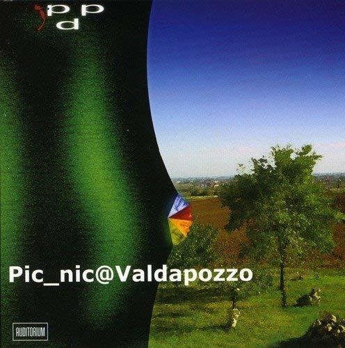 Picnic at Valdapozzo - CD Audio di Picchio dal Pozzo
