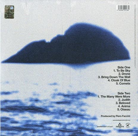 I Dreamed An Island - Vinile LP di Piers Faccini - 2