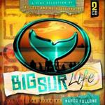 Big Sure Life vol.4