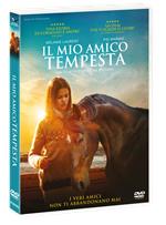 Il mio amico Tempesta (DVD)