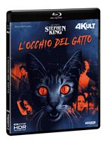 L' occhio del gatto. 