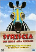 Striscia, una zebra alla riscossa