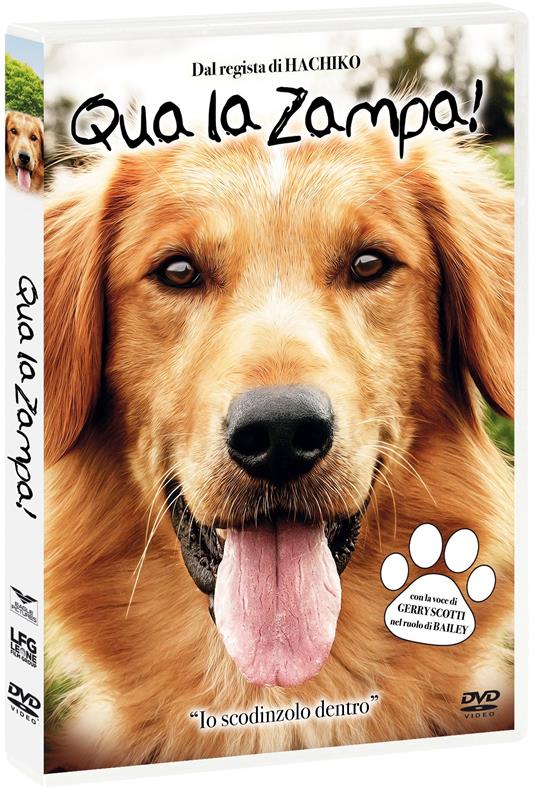 Qua la zampa! (DVD) di Lasse Hällstrom - DVD