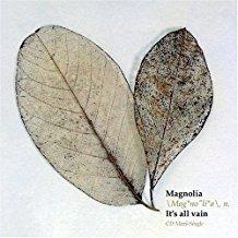 It's All Vain - Vinile LP di Magnolia