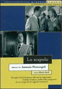 Lo scapolo (DVD) di Antonio Pietrangeli - DVD