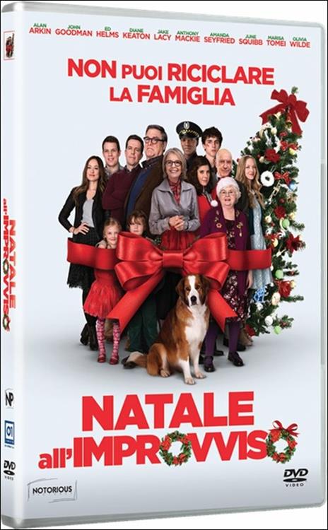 Natale all'improvviso di Jessie Nelson - DVD