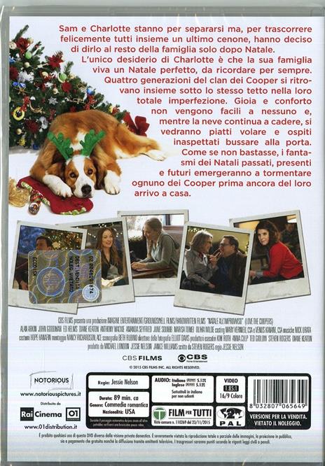 Natale all'improvviso di Jessie Nelson - DVD - 2