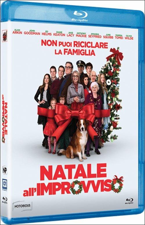 Natale all'improvviso di Jessie Nelson - Blu-ray