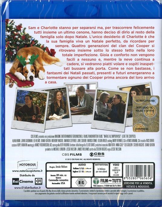Natale all'improvviso di Jessie Nelson - Blu-ray - 2