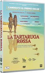 La tartaruga rossa (DVD)