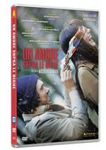 Un amore sopra le righe (DVD)