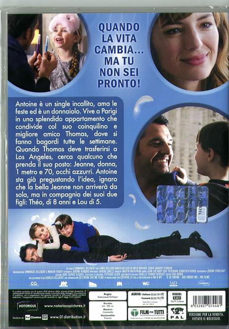 Famiglia allargata (DVD) di Emmanuel Gillibert - DVD - 2