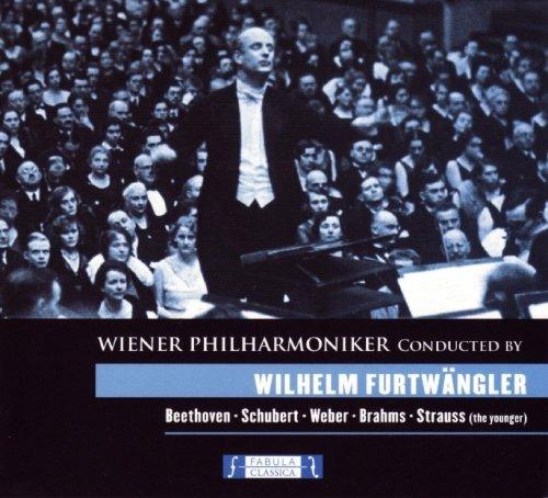 Wilhelm Furtwangler: Dirigiert Beethoven, Schubert, Brahms.. - CD Audio