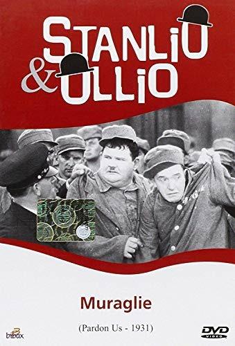 Stanlio e ollio. I Diavoli Volanti (DVD) di Edward Sutherland - DVD