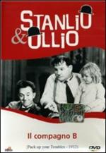 Il compagno B (DVD)