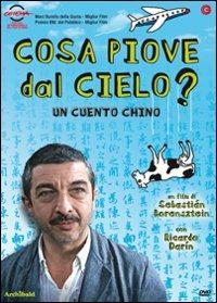 Cosa piove dal cielo? di Sebastián Borensztein - DVD