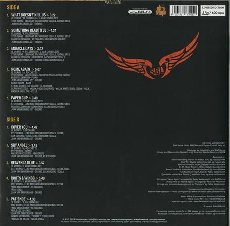 Roots & Wings - Vinile LP + CD Audio di Stef Burns - 2