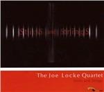 Sticks and Strings - CD Audio di Joe Locke