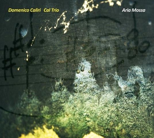 Aria mossa - CD Audio di Domenico Caliri
